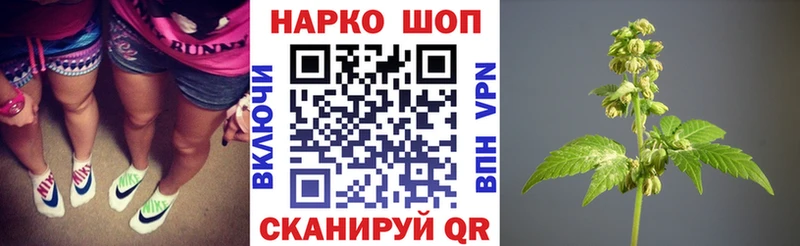 Купить закладку Гашиш  Cocaine  СК  Героин  МЕФ  Каннабис  Гусь-Хрустальный