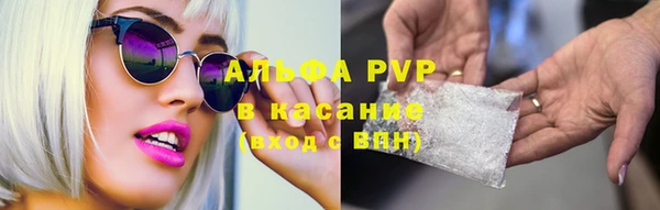mdpv Бородино