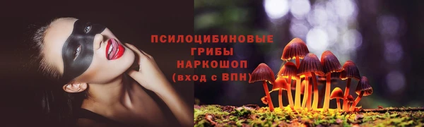 mdpv Бородино