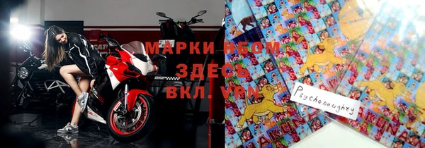 mdpv Бородино