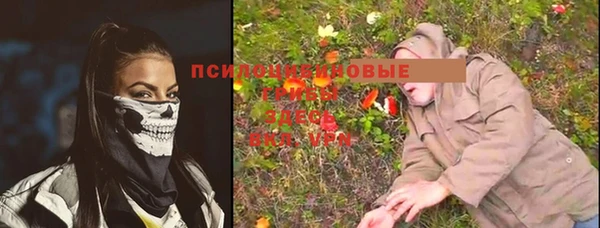 mdpv Бородино